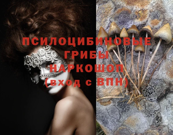 стаф Абаза