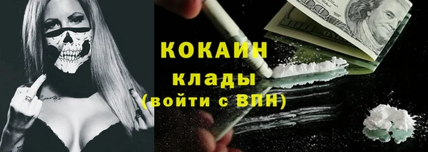 стаф Абаза