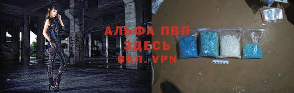 индика Алексеевка