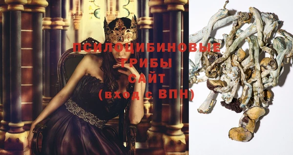 стаф Абаза