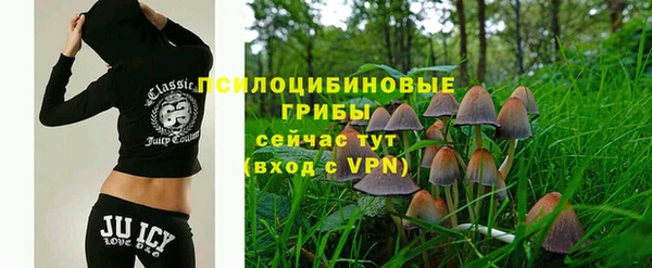 стаф Абаза