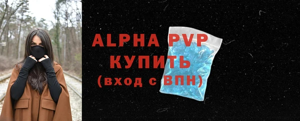 стаф Абаза
