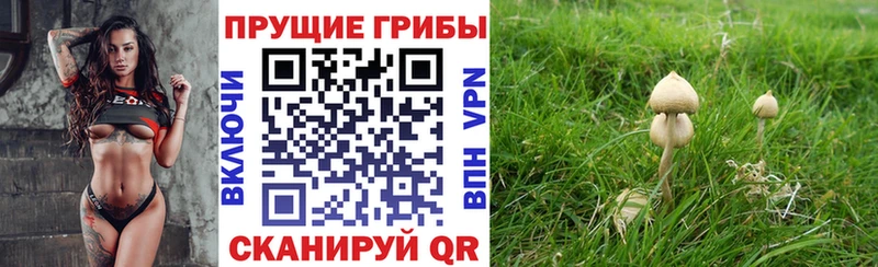 купить наркотик  Старый Крым  hydra ТОР  Псилоцибиновые грибы GOLDEN TEACHER 